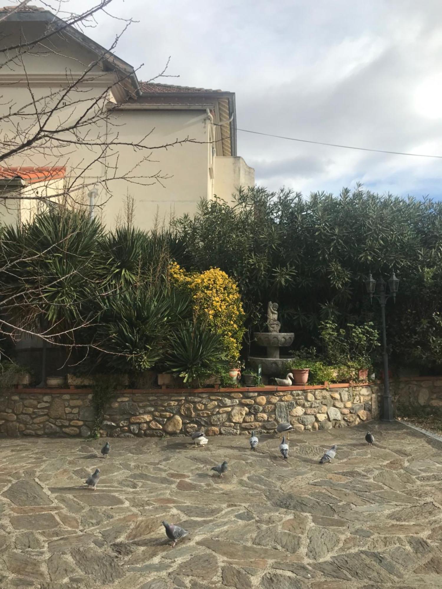 Hebergements A La Rive, Accueil Ouvert Tous Les Jours Jusqu'A 20H00 Dernier Delai, Depuis 30 Ans ! Reserver Ici Svp ! Merci ! Aucun Reglement A Distance Accepte, Paiement Par Cb, Especes, Cheque Ou Cheques-Vacances Imperativement A La Remise Des Clef 아멜리에레방팔랄다 외부 사진